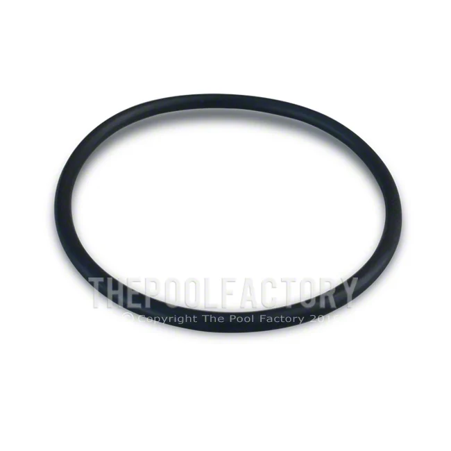 O-Ring for Hayward Salt & Swim ABG Cell
