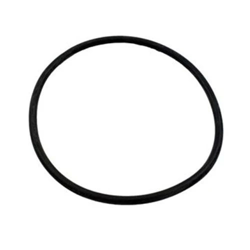 O-Ring for Hayward CL200 & CL220 Chlorinator Lid CLX200K